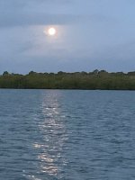 IMG_0917.JPG