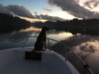 D98F0564-CA0F-4279-8E62-0CD2AD435452.jpeg