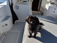 molly-09.15.18-1600.jpg