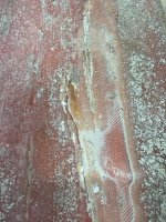IMG_7910.jpeg