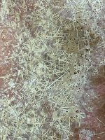 IMG_7912.jpeg