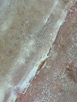 IMG_7913.jpeg