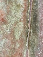 IMG_7915.jpeg