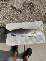 IMG_1292.jpeg