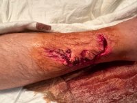 IMG_6704.jpeg IMG_6704.jpeg