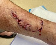 IMG_6784.jpeg IMG_6784.jpeg