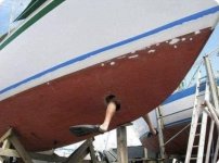 IMG_0911.jpeg